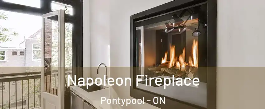  Napoleon Fireplace Pontypool - ON
