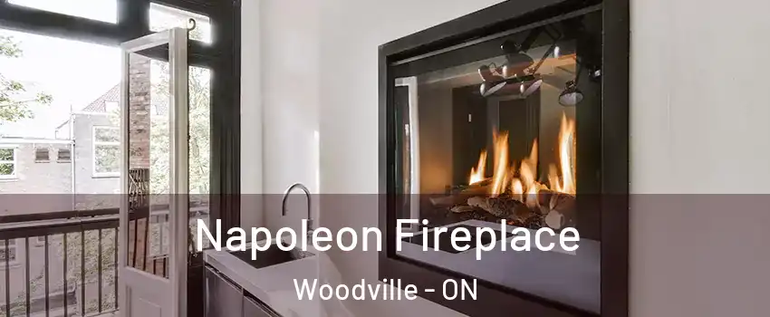  Napoleon Fireplace Woodville - ON
