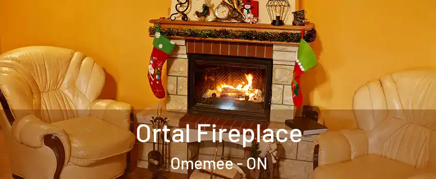 Ortal Fireplace Omemee - ON