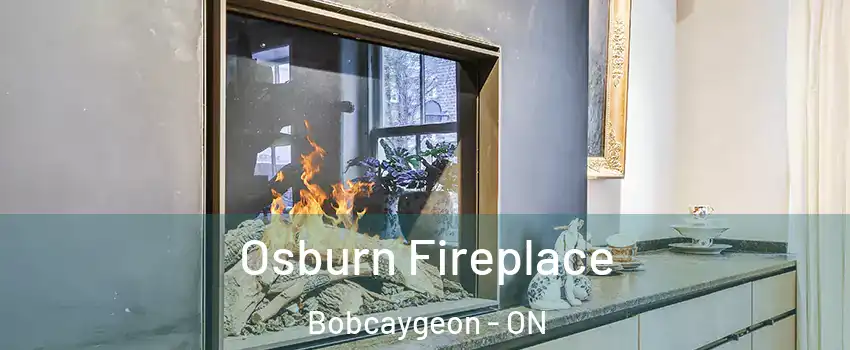  Osburn Fireplace Bobcaygeon - ON