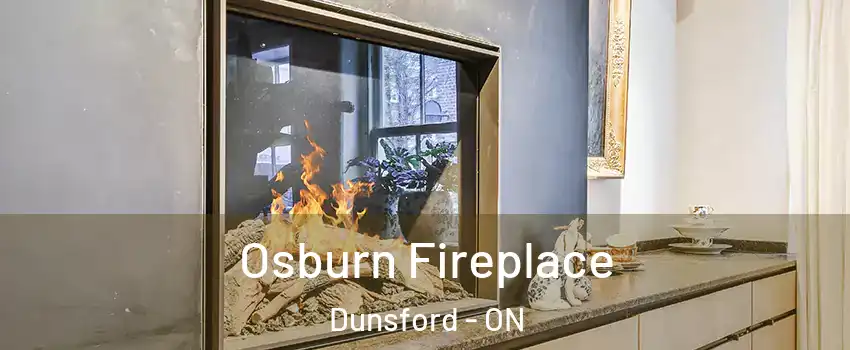 Osburn Fireplace Dunsford - ON
