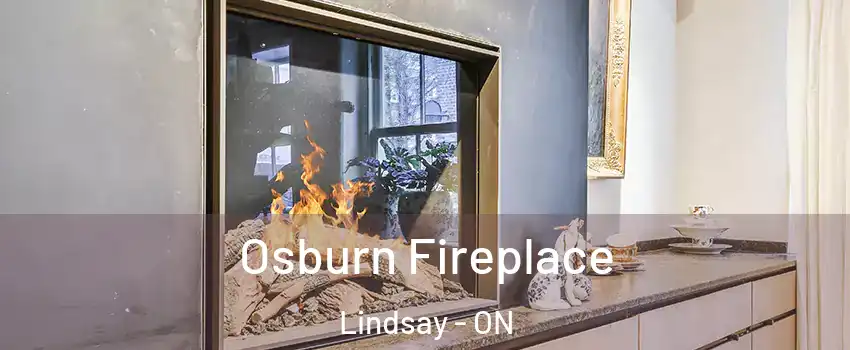  Osburn Fireplace Lindsay - ON