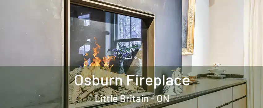 Osburn Fireplace Little Britain - ON