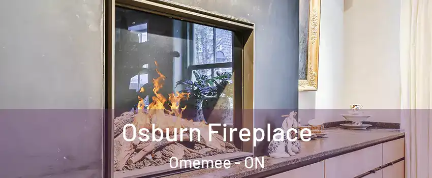  Osburn Fireplace Omemee - ON