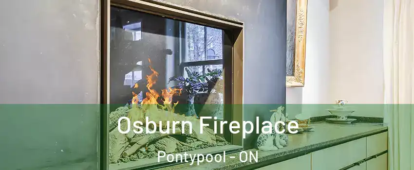  Osburn Fireplace Pontypool - ON