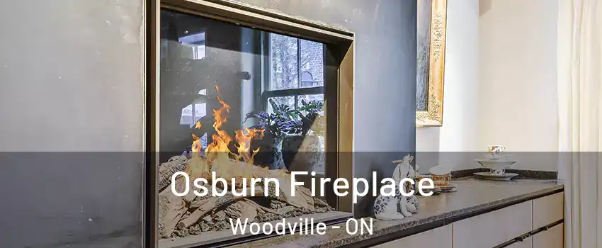  Osburn Fireplace Woodville - ON
