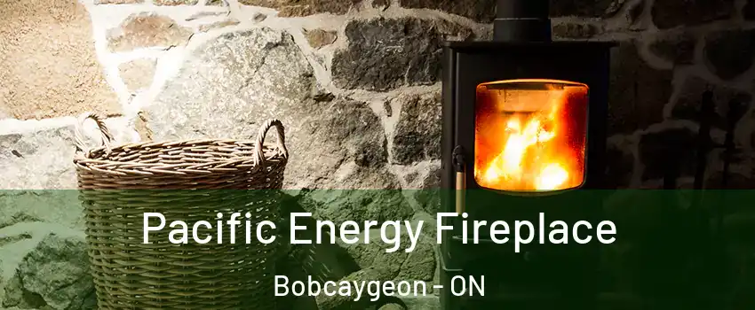  Pacific Energy Fireplace Bobcaygeon - ON