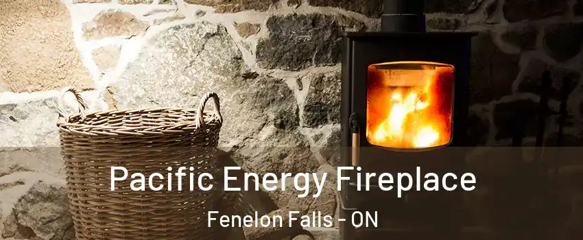  Pacific Energy Fireplace Fenelon Falls - ON