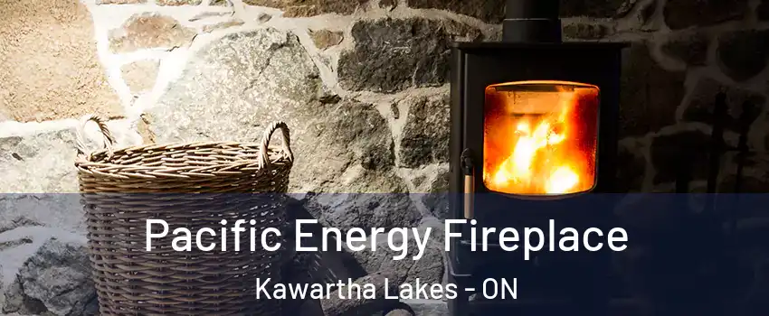  Pacific Energy Fireplace Kawartha Lakes - ON