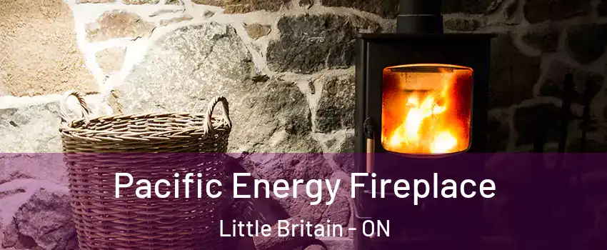  Pacific Energy Fireplace Little Britain - ON