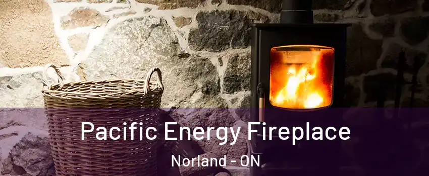  Pacific Energy Fireplace Norland - ON