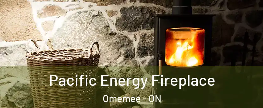  Pacific Energy Fireplace Omemee - ON