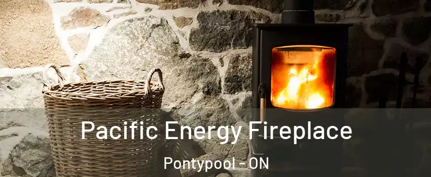  Pacific Energy Fireplace Pontypool - ON