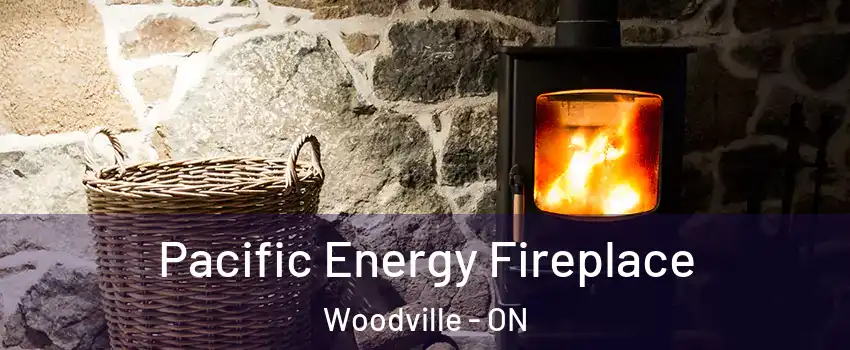  Pacific Energy Fireplace Woodville - ON