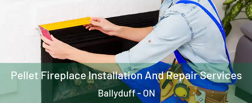 Pellet Fireplace Installation And Repair Services Ballyduff - ON