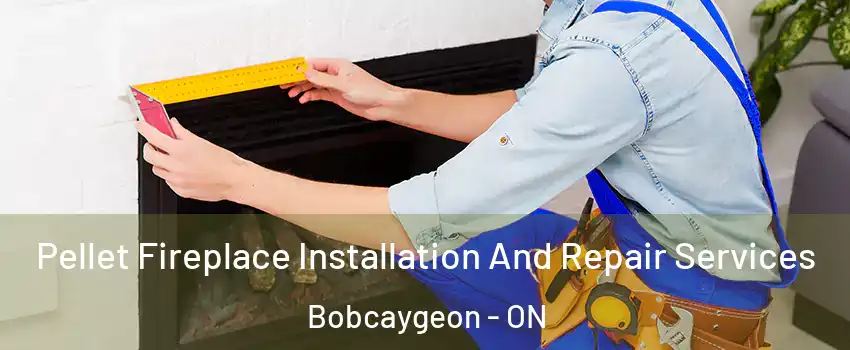  Pellet Fireplace Installation And Repair Services Bobcaygeon - ON