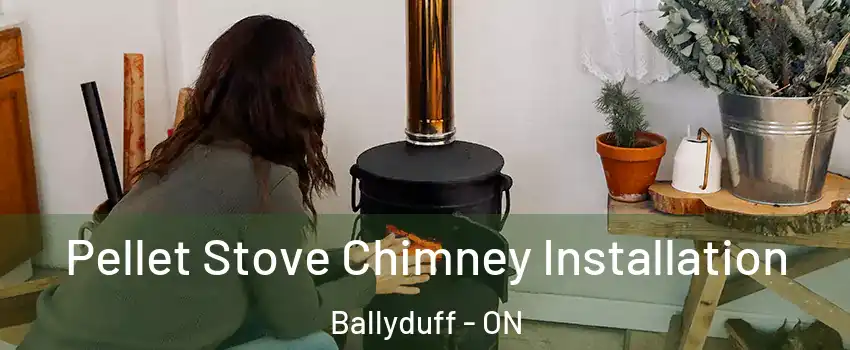  Pellet Stove Chimney Installation Ballyduff - ON