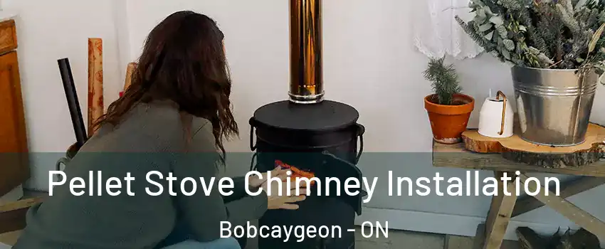  Pellet Stove Chimney Installation Bobcaygeon - ON