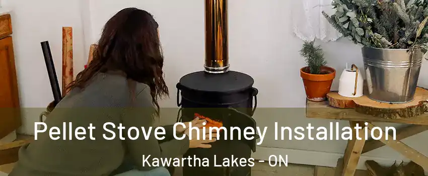  Pellet Stove Chimney Installation Kawartha Lakes - ON