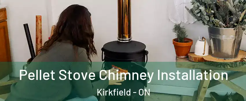  Pellet Stove Chimney Installation Kirkfield - ON