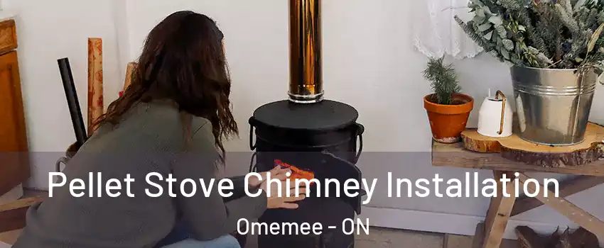  Pellet Stove Chimney Installation Omemee - ON