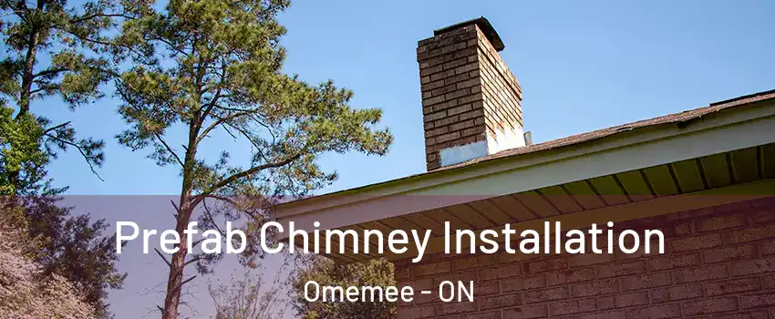  Prefab Chimney Installation Omemee - ON