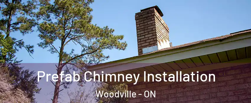  Prefab Chimney Installation Woodville - ON