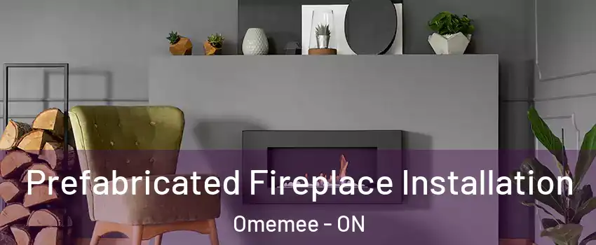  Prefabricated Fireplace Installation Omemee - ON