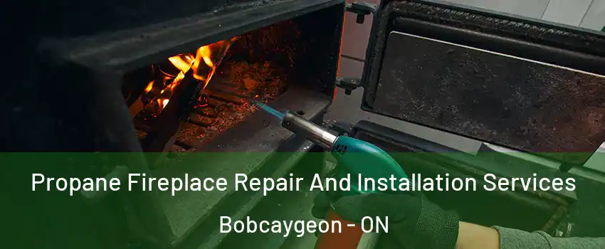 Propane Fireplace Repair And Installation Services Bobcaygeon - ON