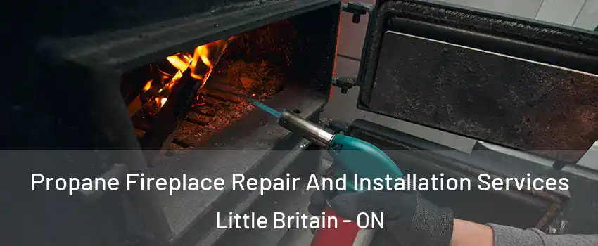 Propane Fireplace Repair And Installation Services Little Britain - ON