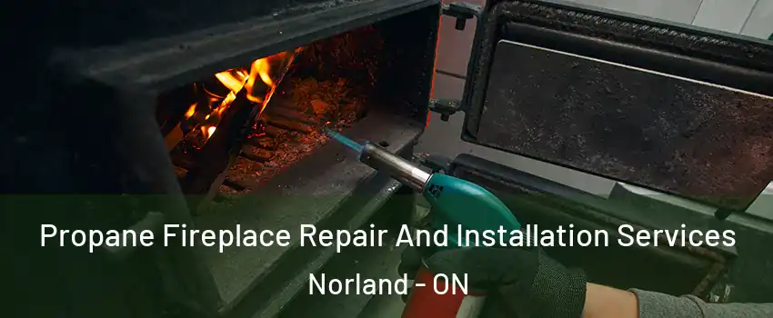 Propane Fireplace Repair And Installation Services Norland - ON