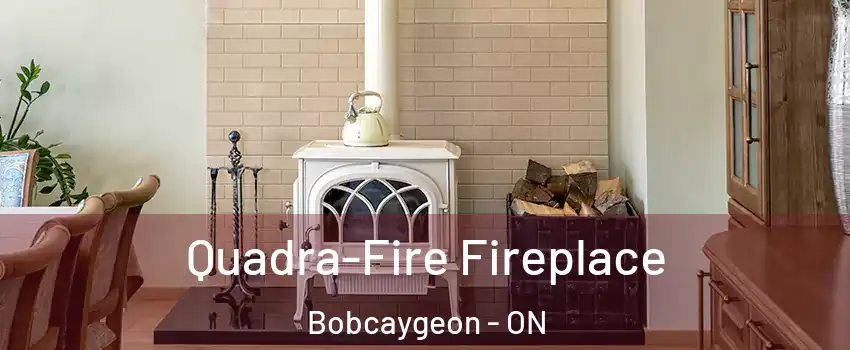  Quadra-Fire Fireplace Bobcaygeon - ON