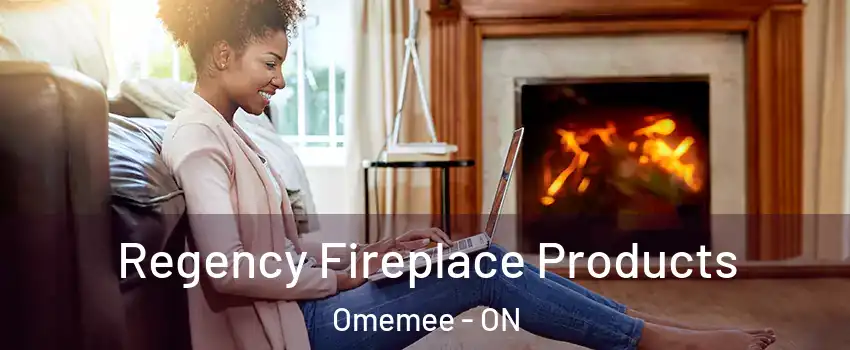  Regency Fireplace Products Omemee - ON