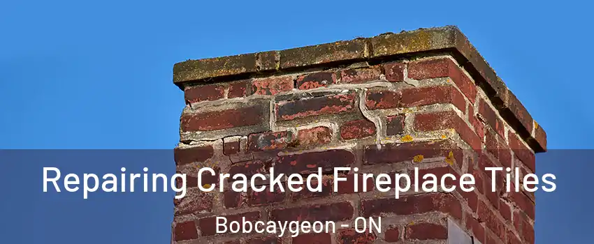  Repairing Cracked Fireplace Tiles Bobcaygeon - ON