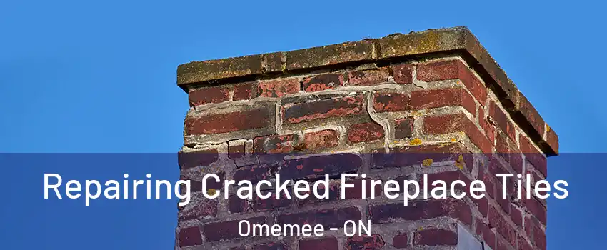  Repairing Cracked Fireplace Tiles Omemee - ON