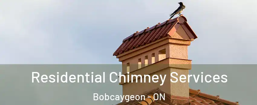  Residential Chimney Services Bobcaygeon - ON