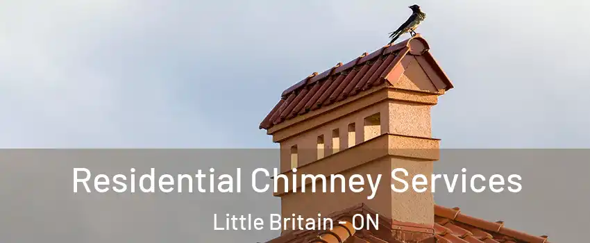  Residential Chimney Services Little Britain - ON