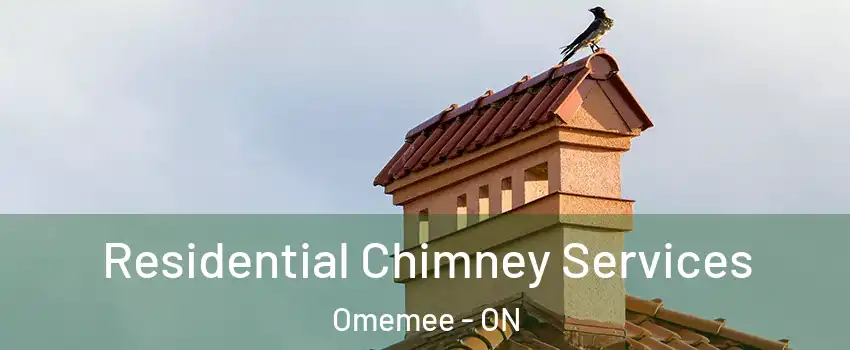  Residential Chimney Services Omemee - ON