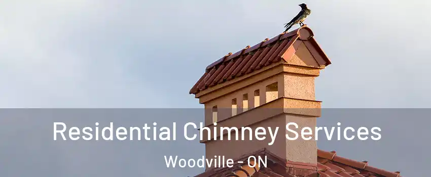  Residential Chimney Services Woodville - ON