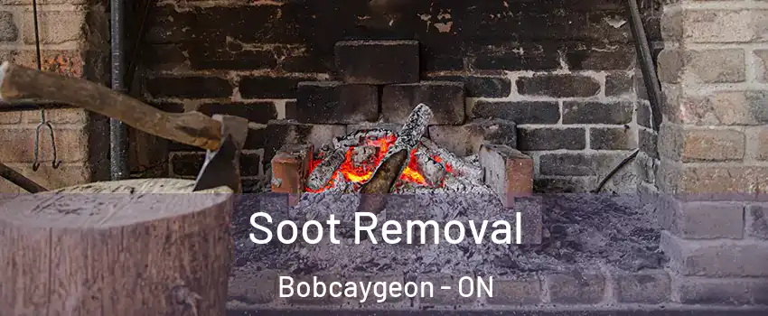 Soot Removal Bobcaygeon - ON
