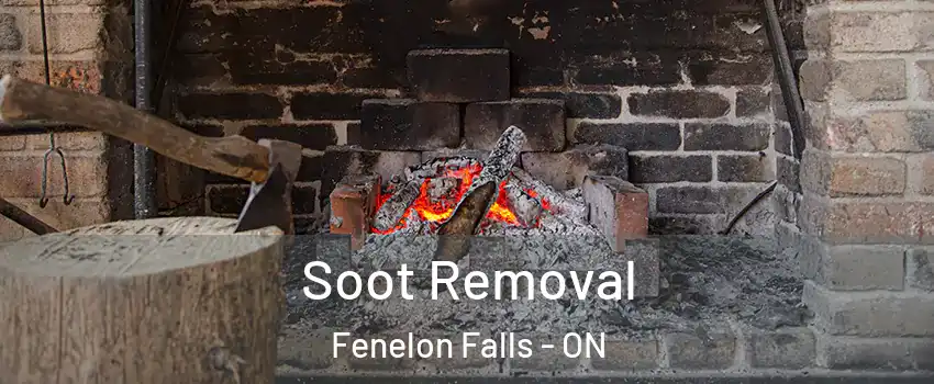  Soot Removal Fenelon Falls - ON