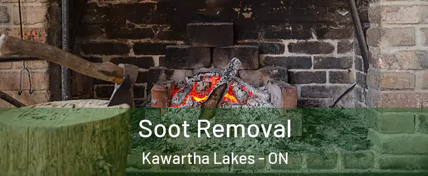  Soot Removal Kawartha Lakes - ON