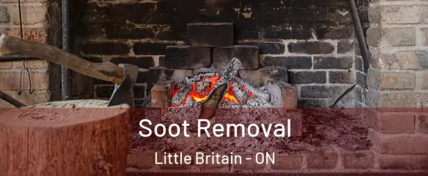  Soot Removal Little Britain - ON
