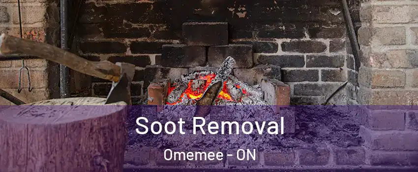  Soot Removal Omemee - ON
