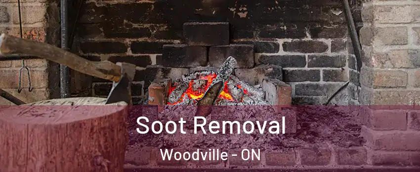  Soot Removal Woodville - ON