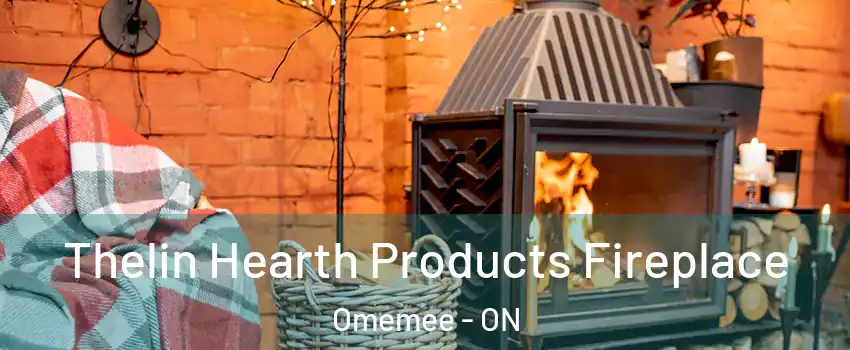  Thelin Hearth Products Fireplace Omemee - ON