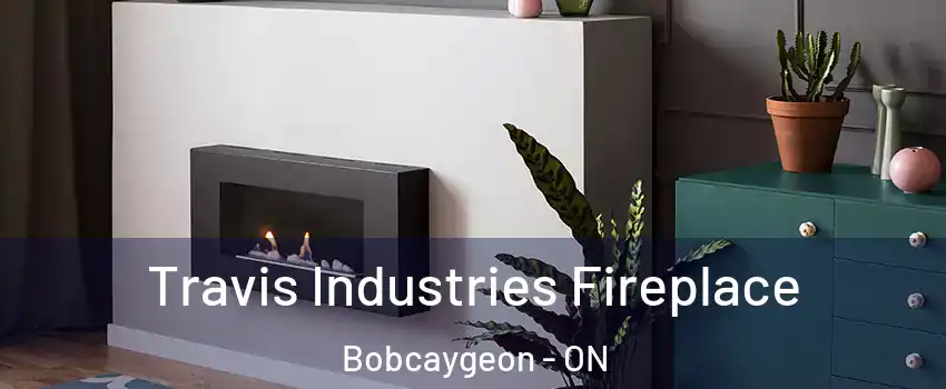  Travis Industries Fireplace Bobcaygeon - ON