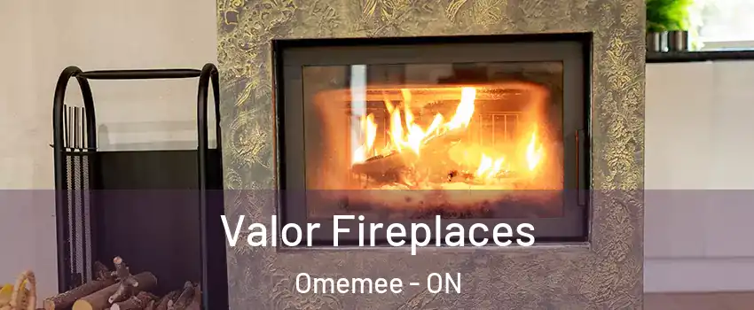  Valor Fireplaces Omemee - ON