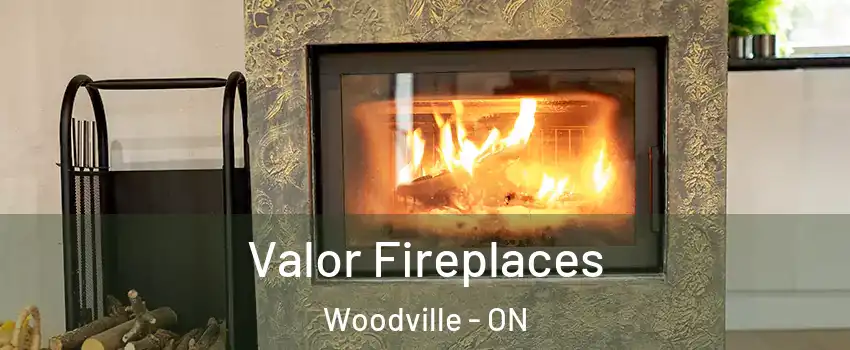  Valor Fireplaces Woodville - ON