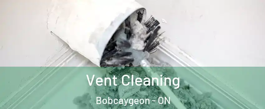  Vent Cleaning Bobcaygeon - ON
